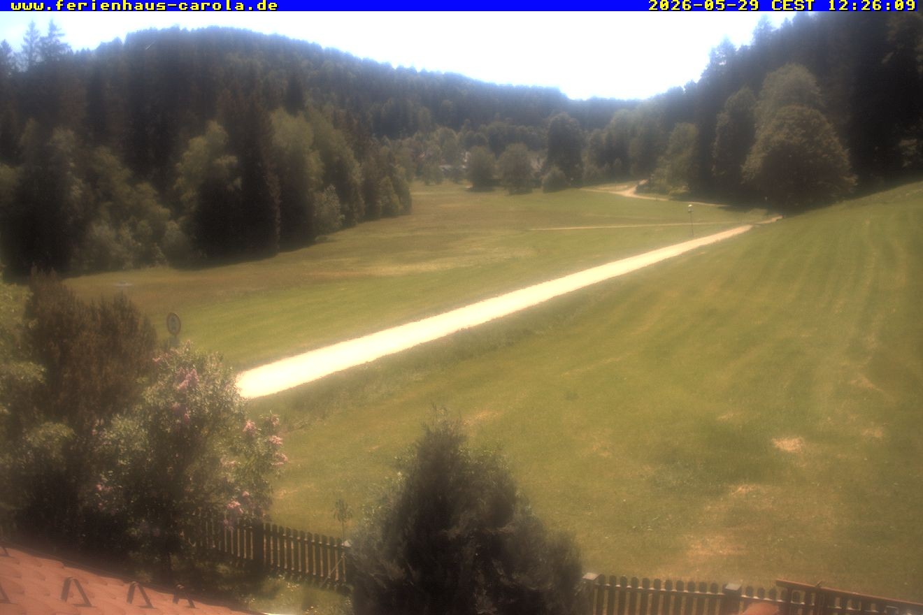 Archiv Foto Webcam Ferienhaus Carola in Hinterzarten