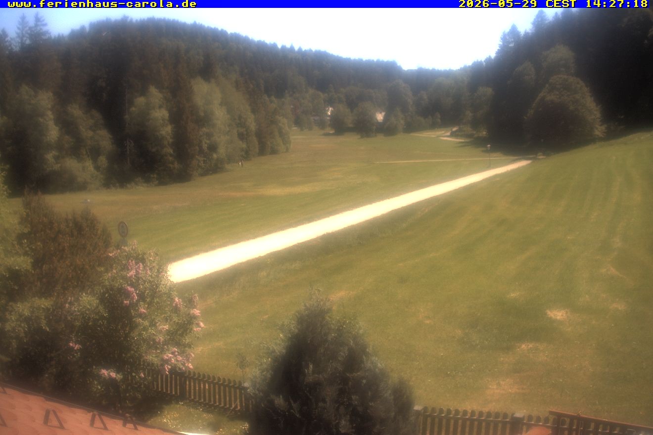 Archiv Foto Webcam Ferienhaus Carola in Hinterzarten