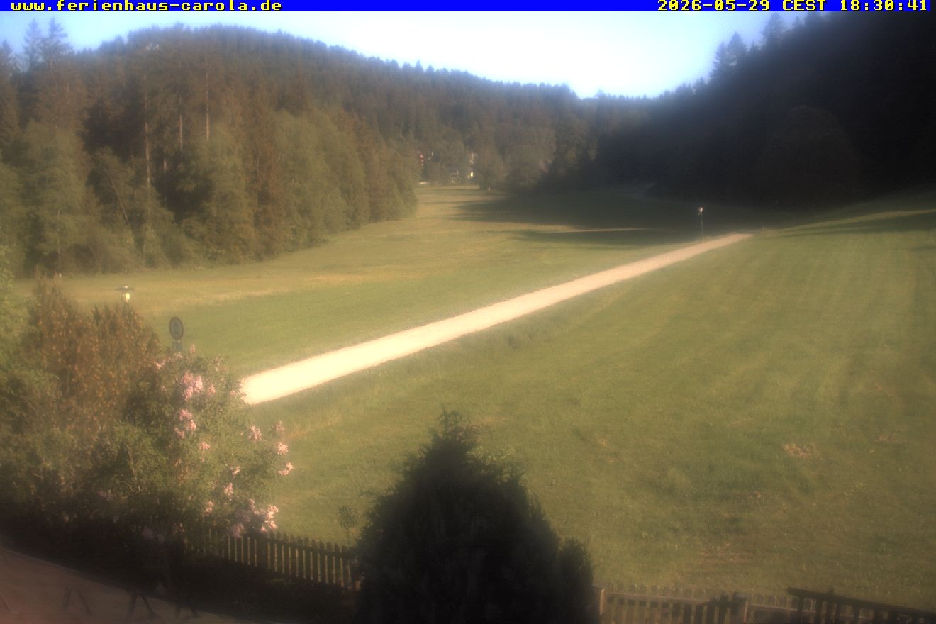 Archiv Foto Webcam Ferienhaus Carola in Hinterzarten