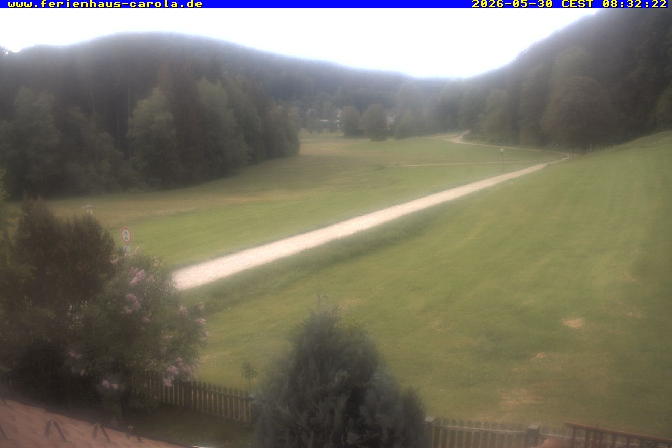 Archiv Foto Webcam Ferienhaus Carola in Hinterzarten
