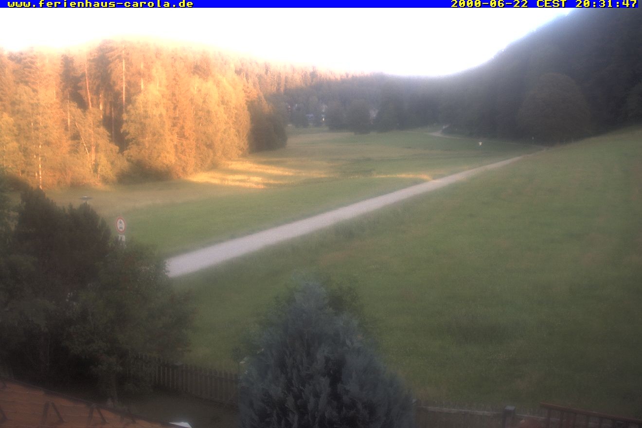 Archived image Webcam Holiday lodge Carola at Hinterzarten