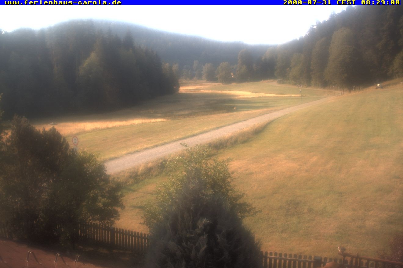 Archiv Foto Webcam Ferienhaus Carola in Hinterzarten