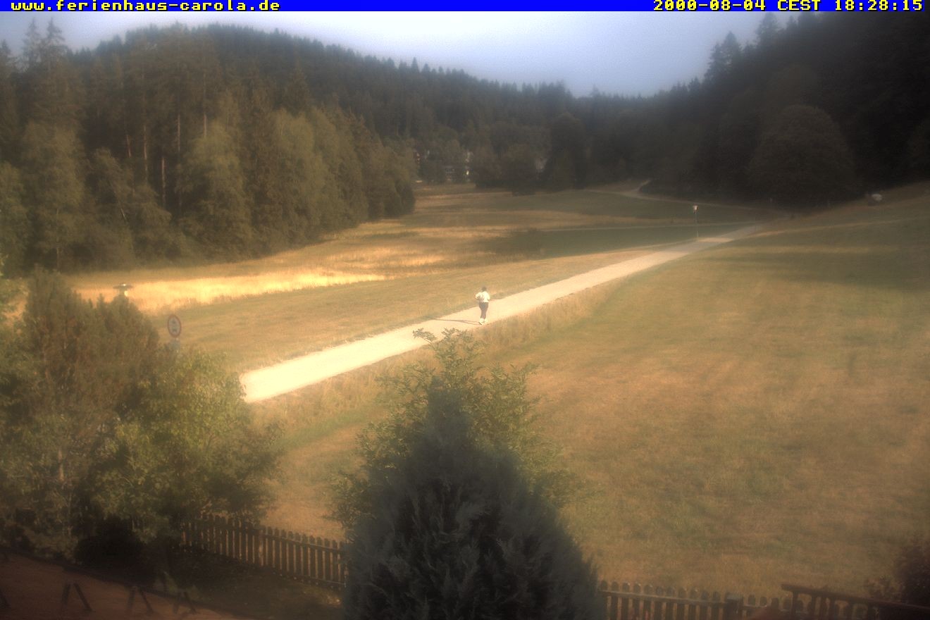 Archiv Foto Webcam Ferienhaus Carola in Hinterzarten
