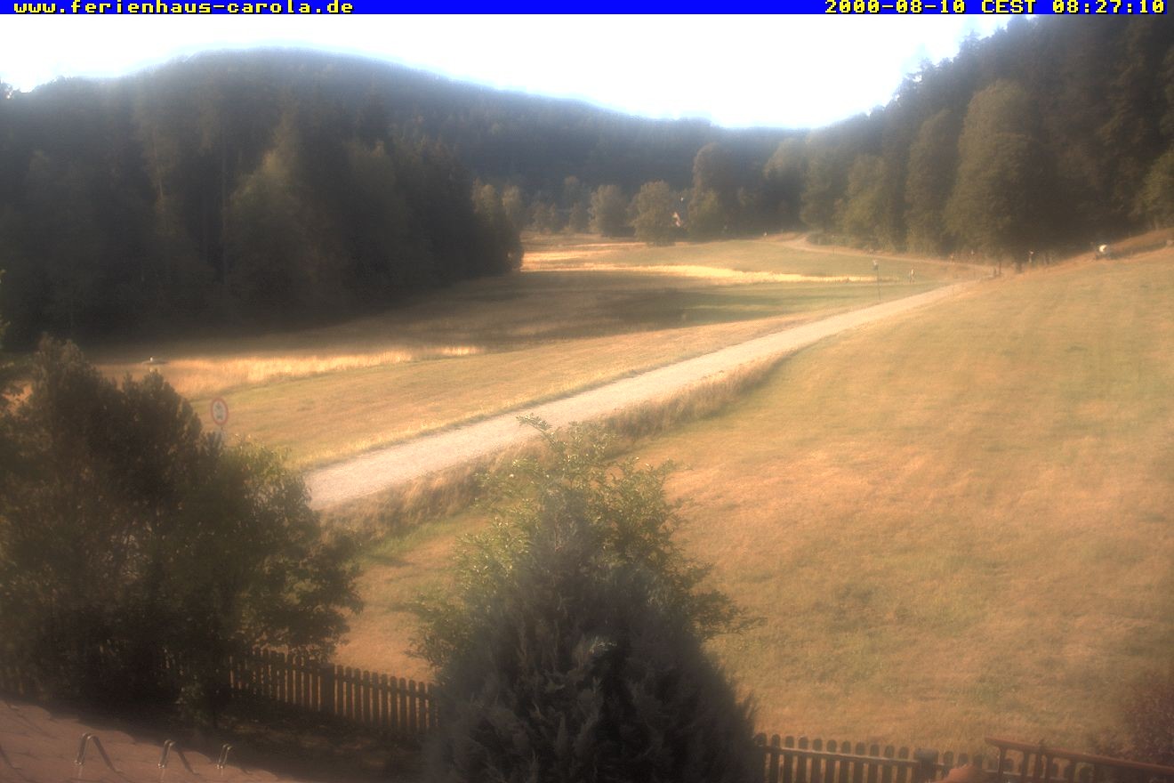 Archiv Foto Webcam Ferienhaus Carola in Hinterzarten