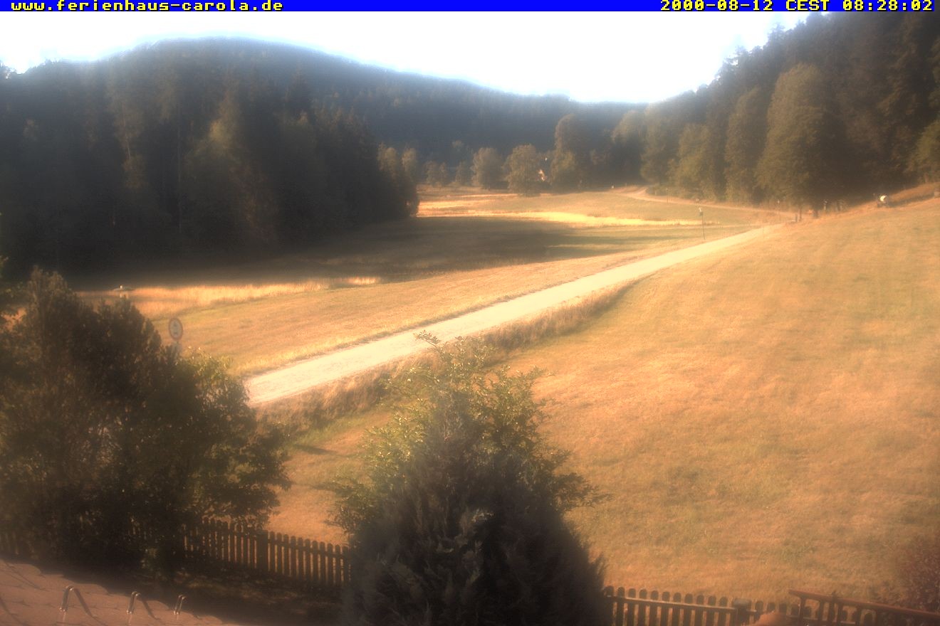 Archiv Foto Webcam Ferienhaus Carola in Hinterzarten