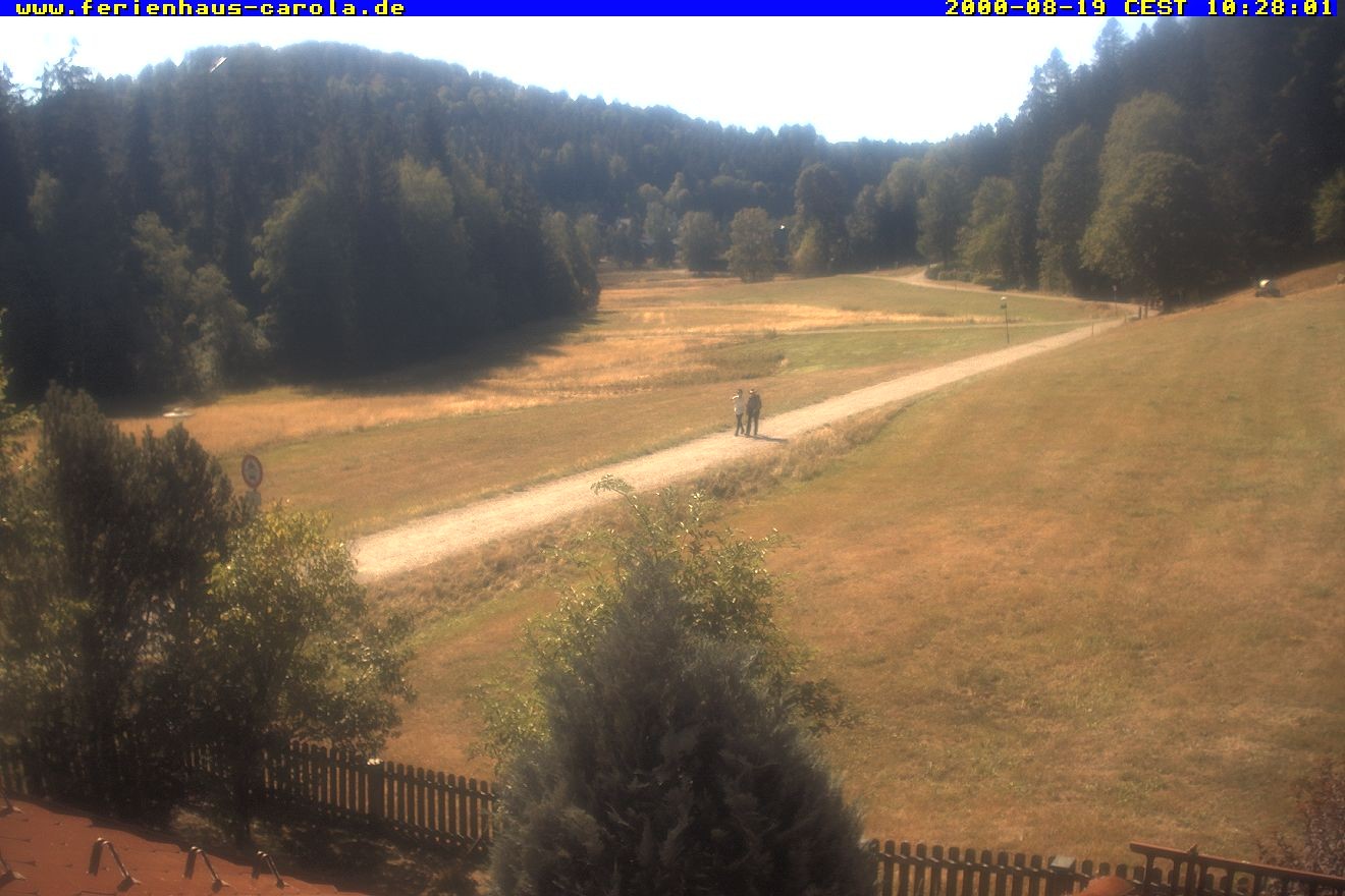Archiv Foto Webcam Ferienhaus Carola in Hinterzarten