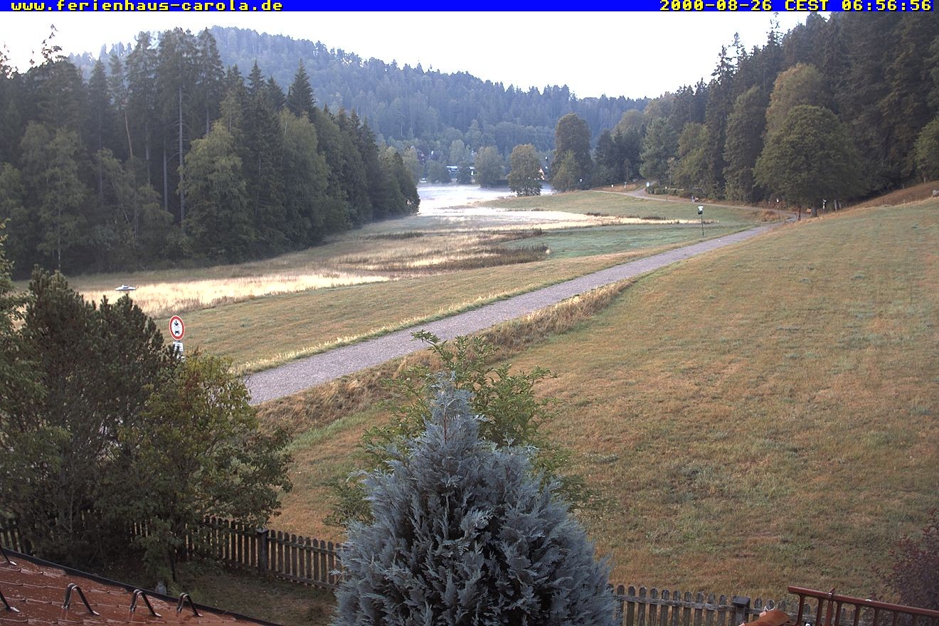 Archiv Foto Webcam Ferienhaus Carola in Hinterzarten
