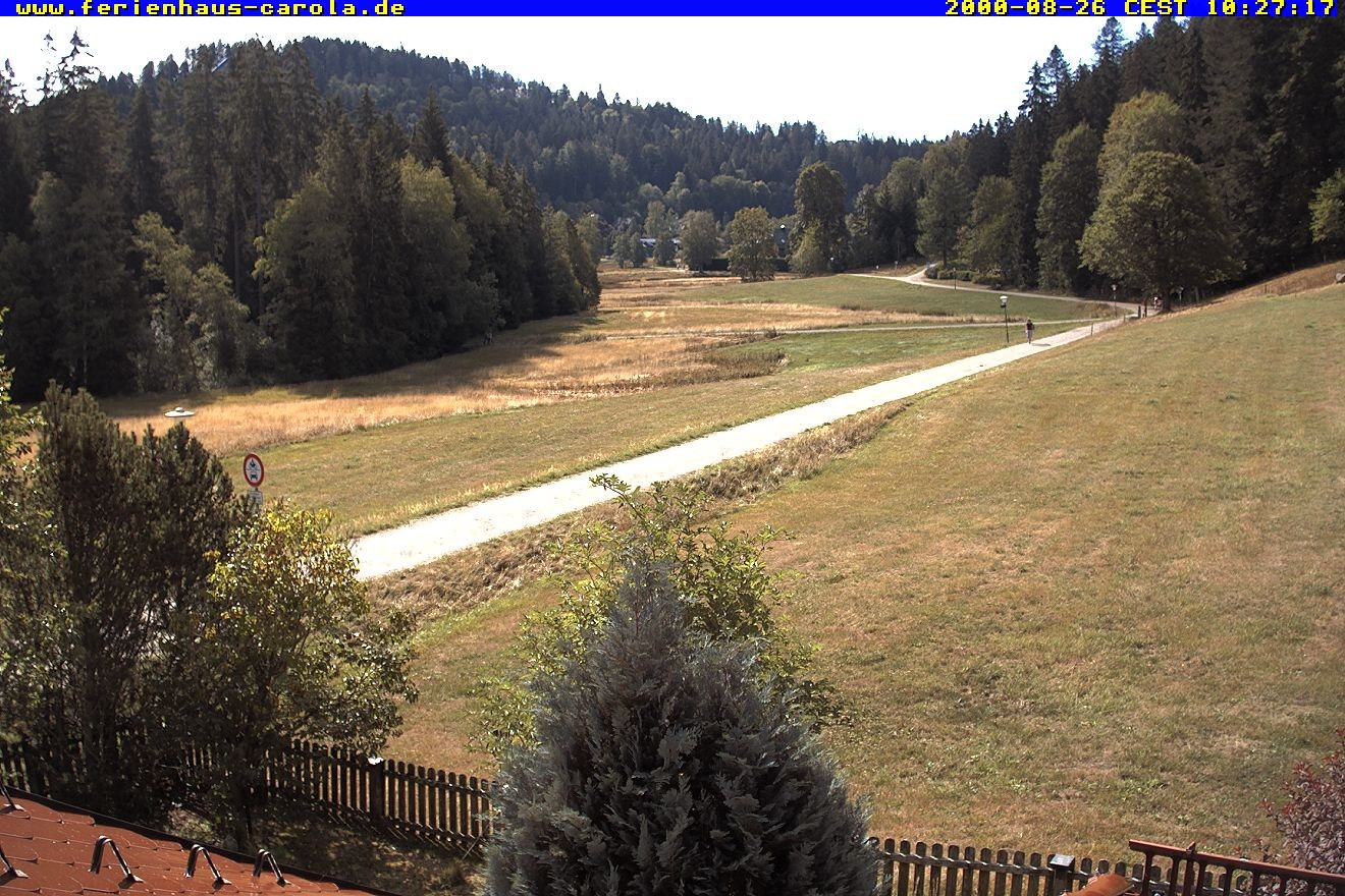 Archiv Foto Webcam Ferienhaus Carola in Hinterzarten