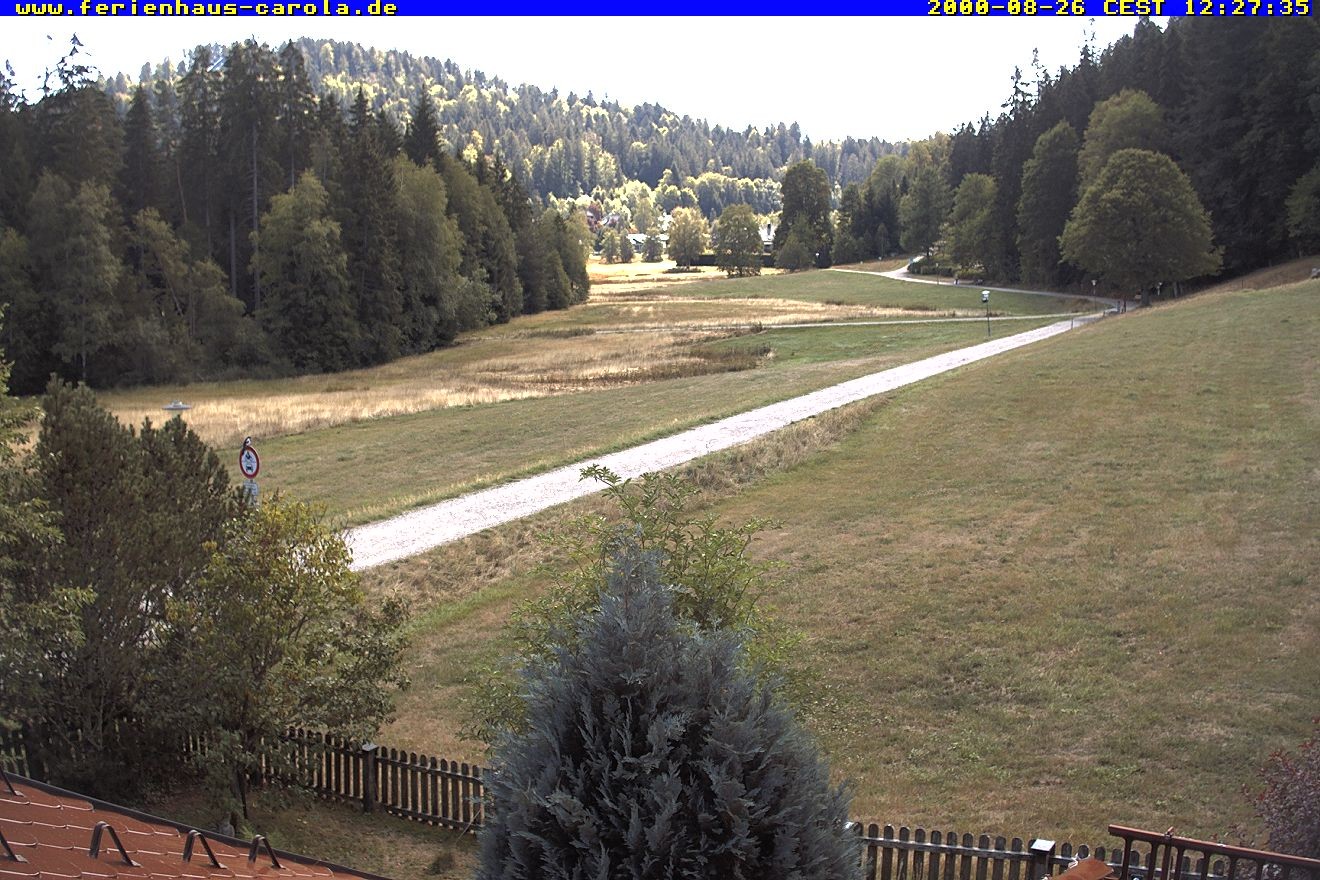 Archiv Foto Webcam Ferienhaus Carola in Hinterzarten