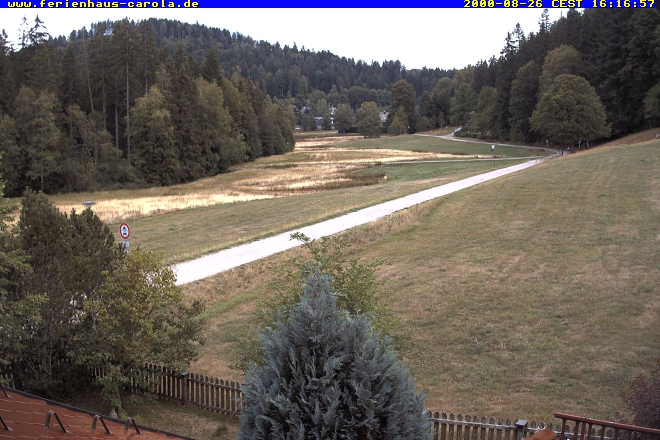 Archiv Foto Webcam Ferienhaus Carola in Hinterzarten