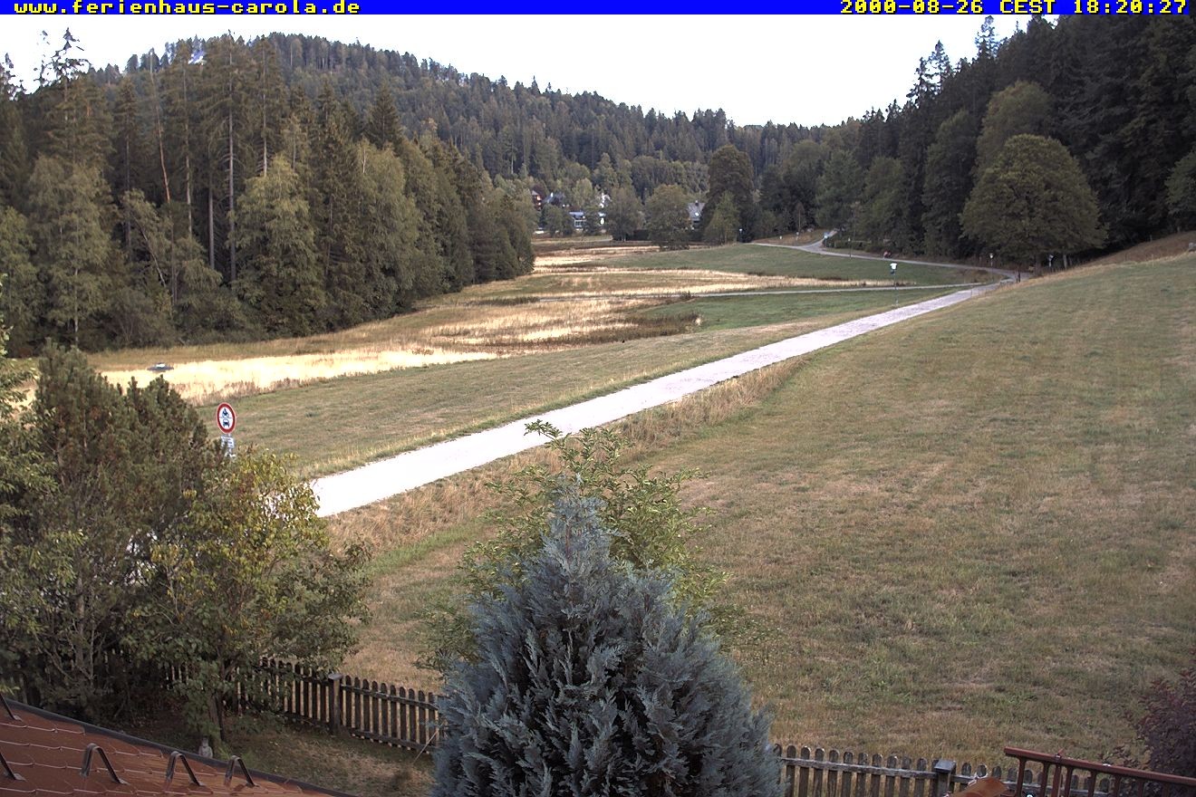 Archiv Foto Webcam Ferienhaus Carola in Hinterzarten