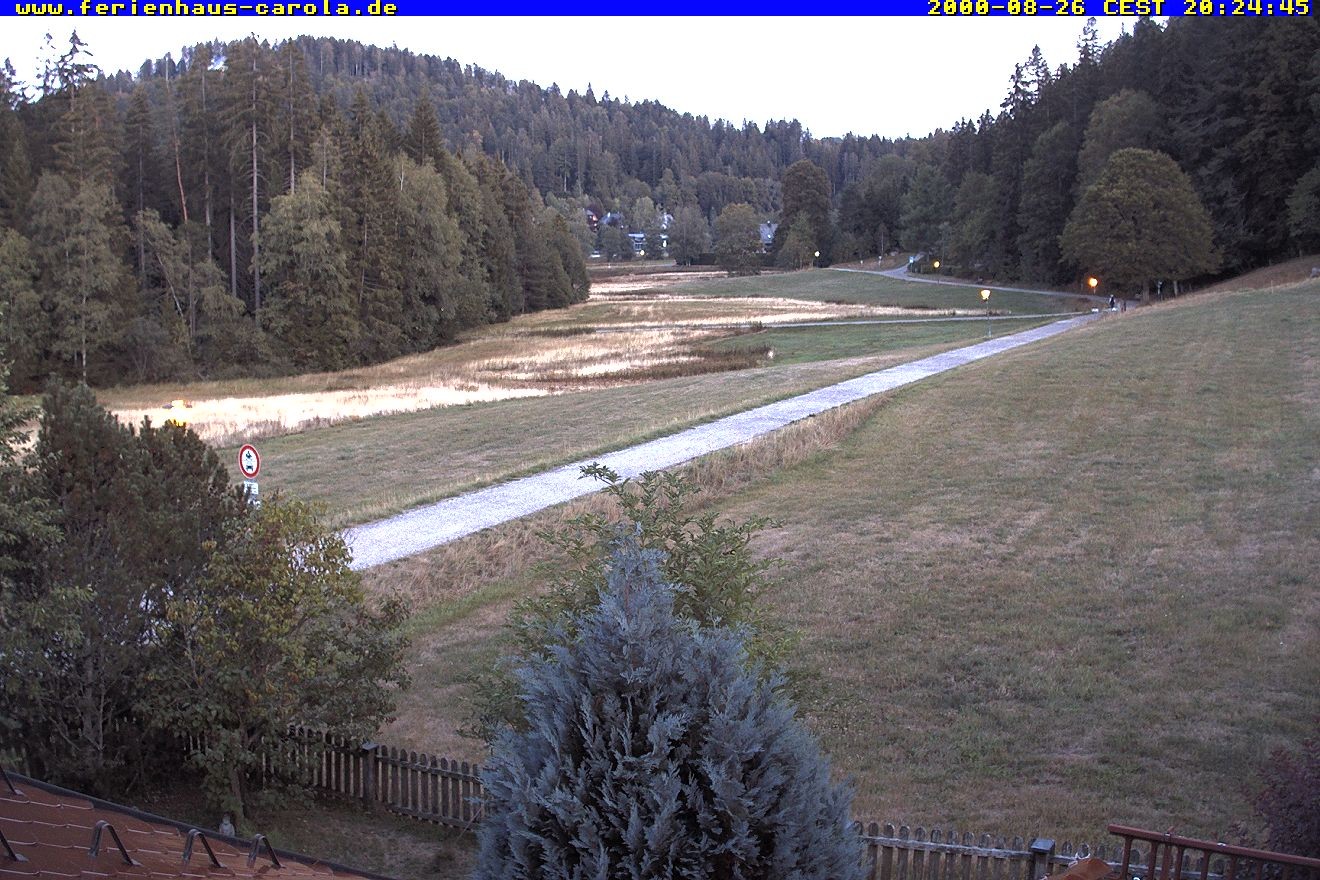 Archiv Foto Webcam Ferienhaus Carola in Hinterzarten