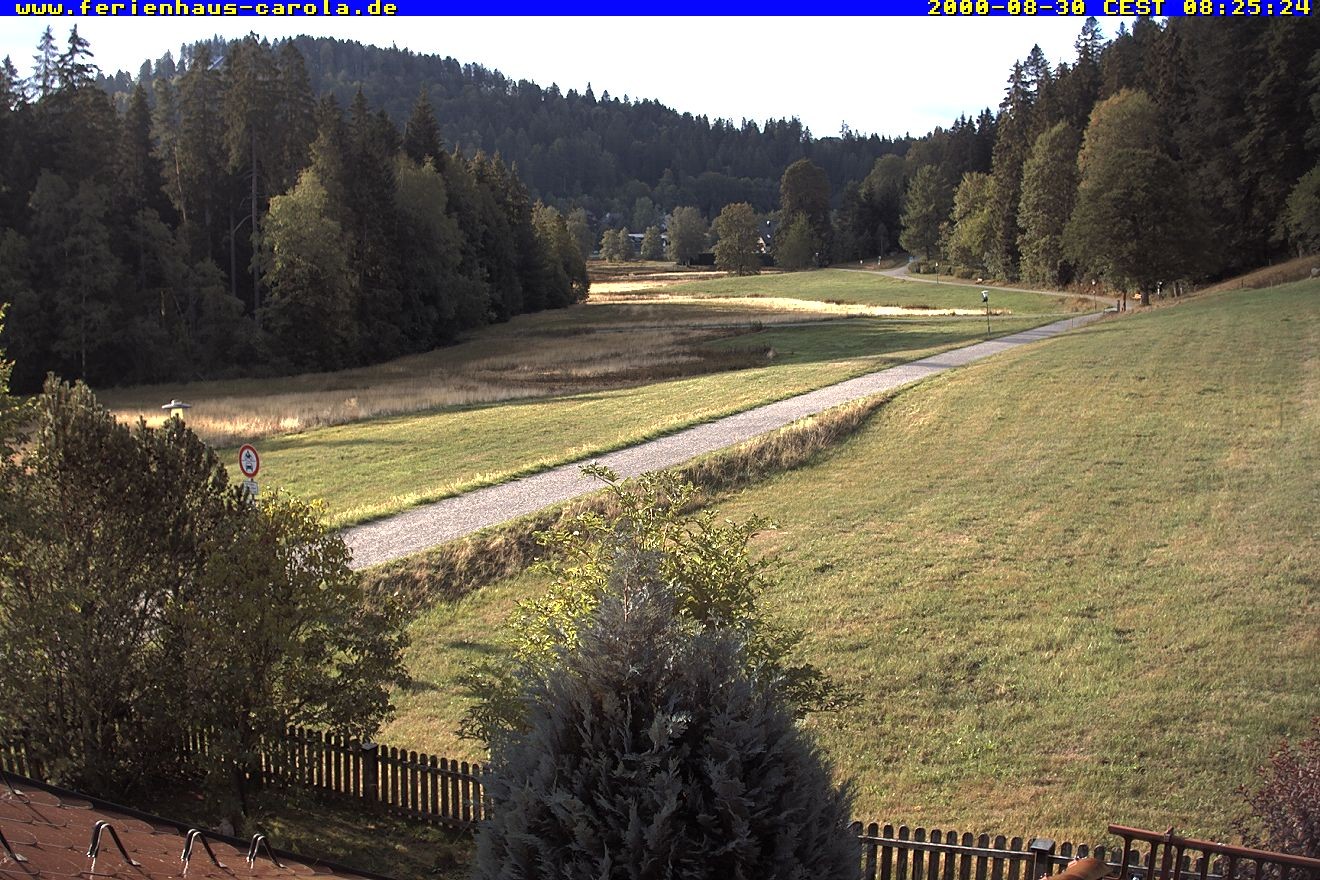 Archiv Foto Webcam Ferienhaus Carola in Hinterzarten