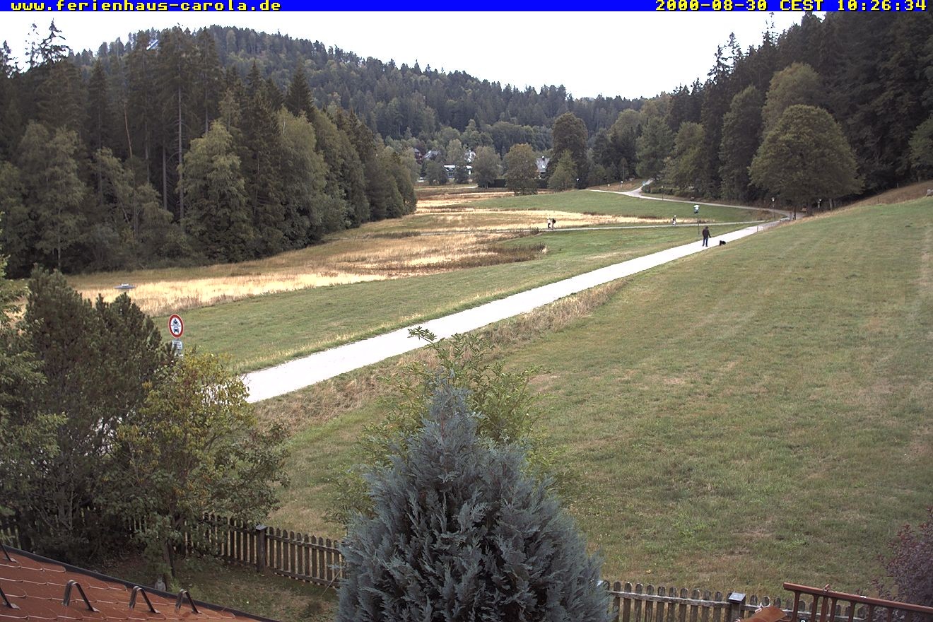 Archiv Foto Webcam Ferienhaus Carola in Hinterzarten