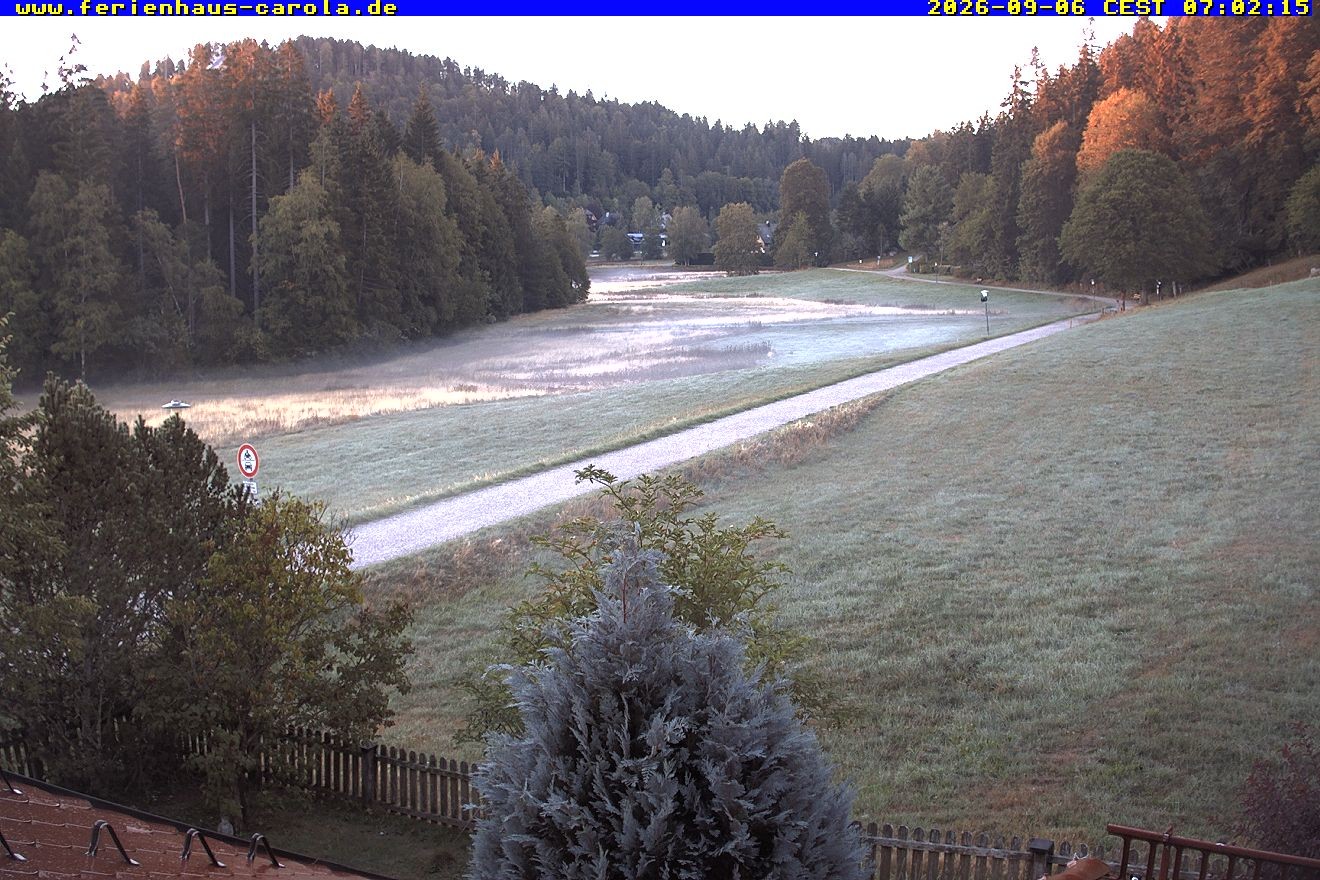 Archiv Foto Webcam Ferienhaus Carola in Hinterzarten