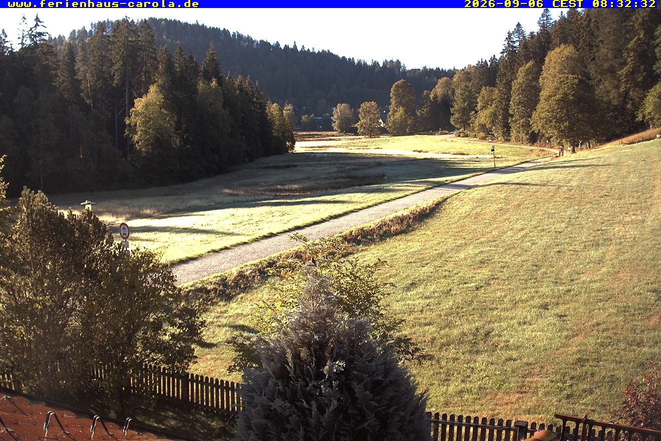 Archiv Foto Webcam Ferienhaus Carola in Hinterzarten