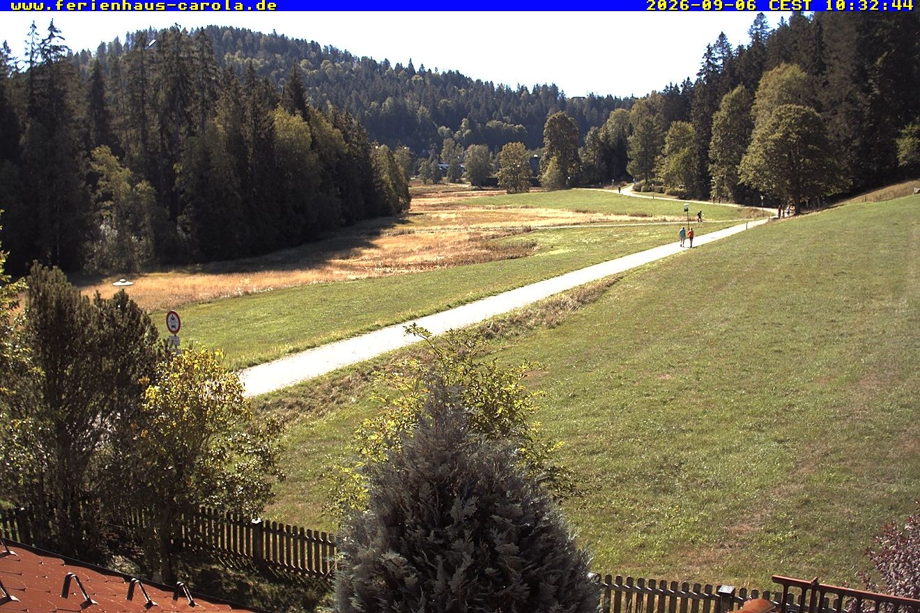 Archiv Foto Webcam Ferienhaus Carola in Hinterzarten