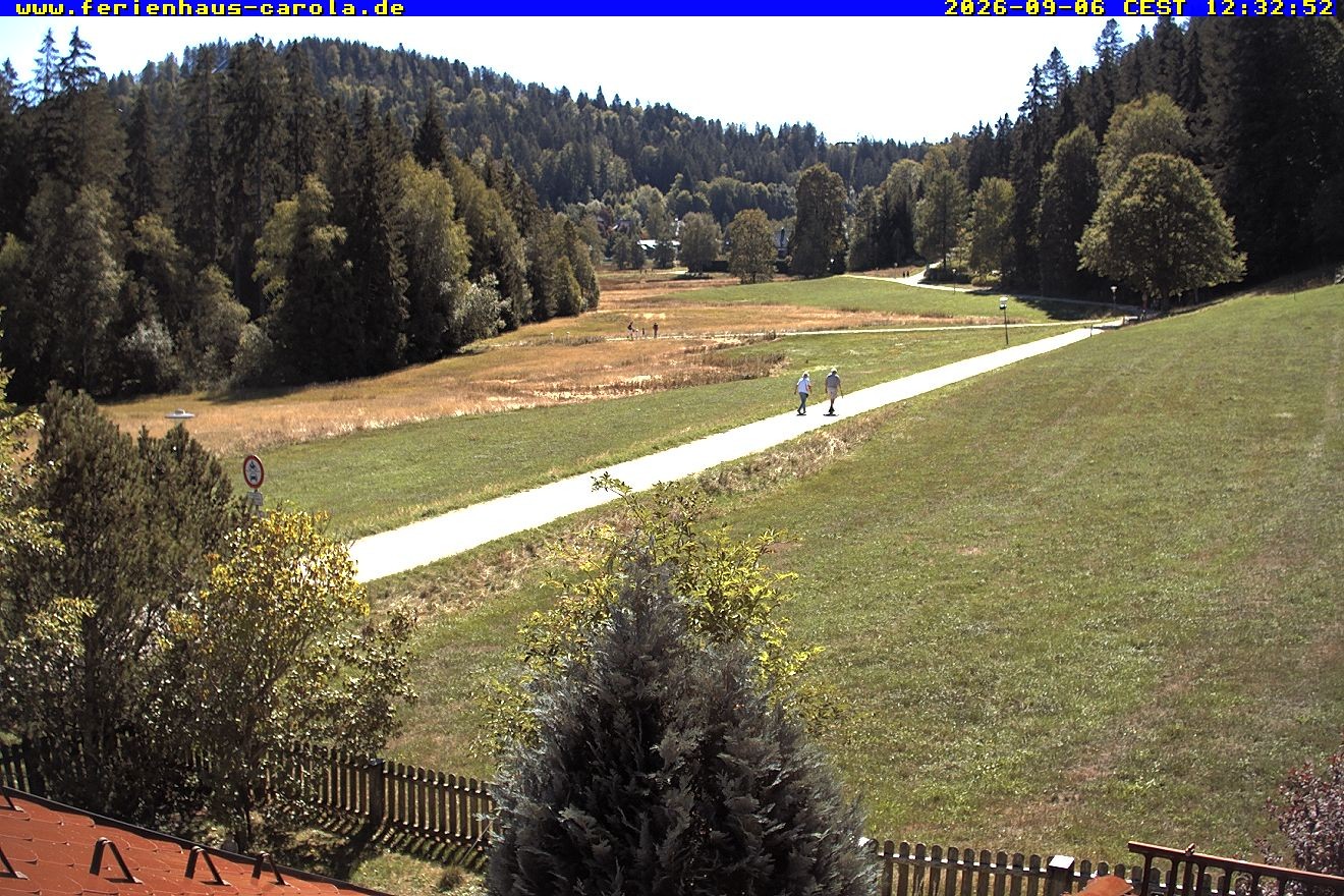 Archiv Foto Webcam Ferienhaus Carola in Hinterzarten