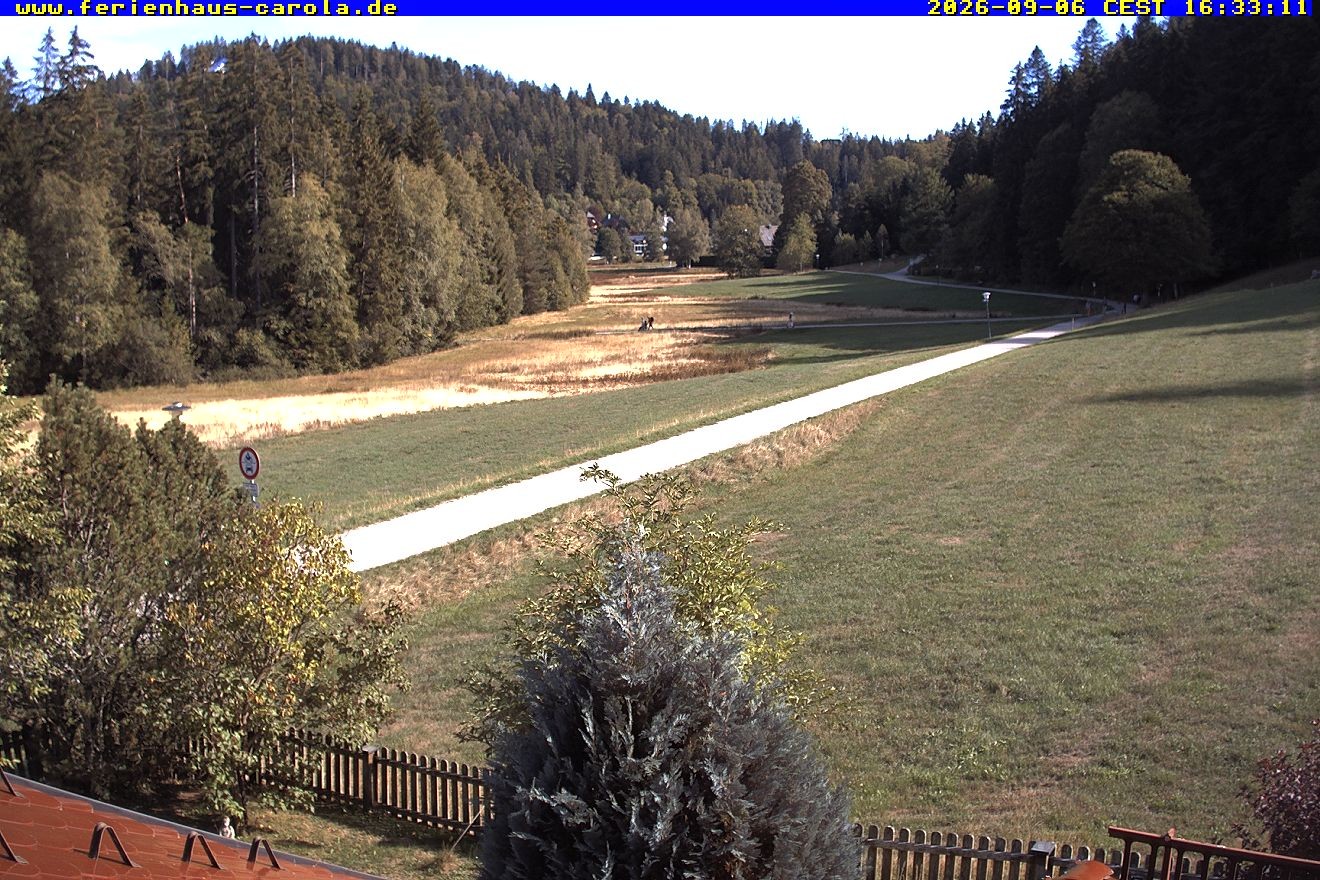 Archiv Foto Webcam Ferienhaus Carola in Hinterzarten