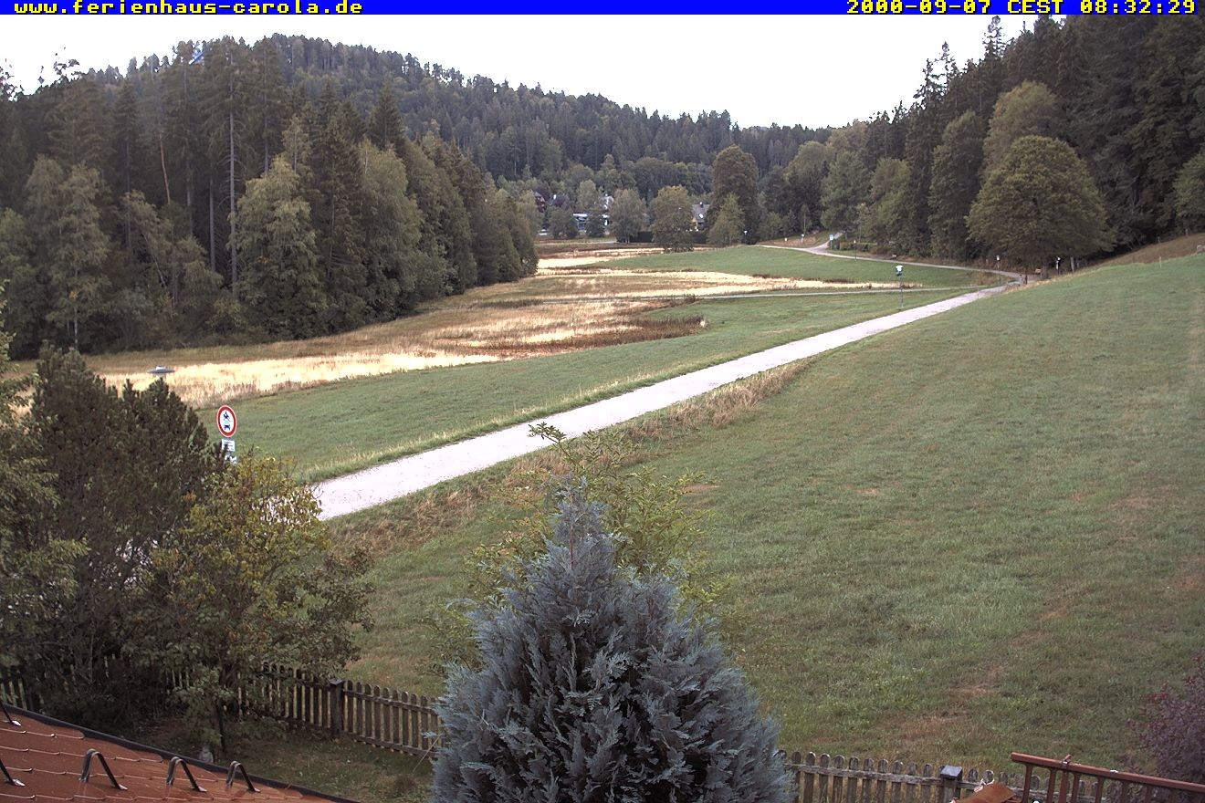 Archiv Foto Webcam Ferienhaus Carola in Hinterzarten