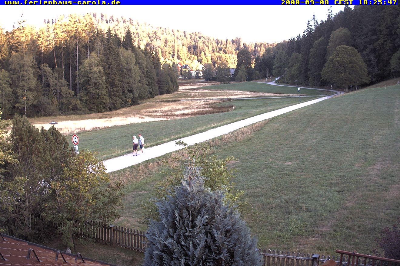 Archiv Foto Webcam Ferienhaus Carola in Hinterzarten