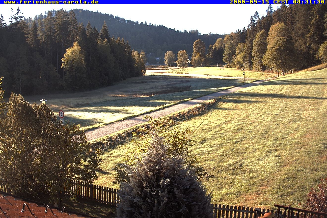 Archiv Foto Webcam Ferienhaus Carola in Hinterzarten