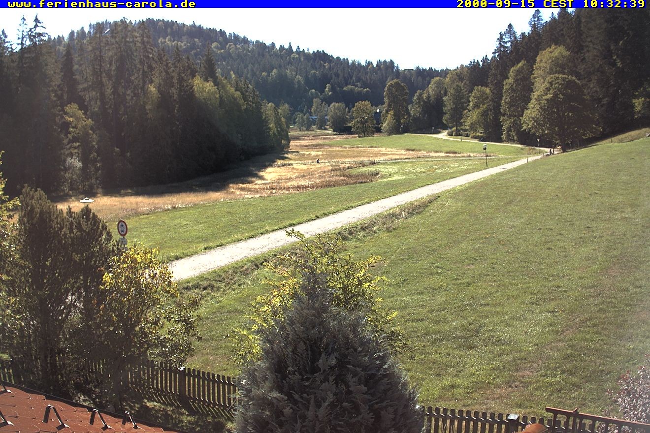 Archiv Foto Webcam Ferienhaus Carola in Hinterzarten