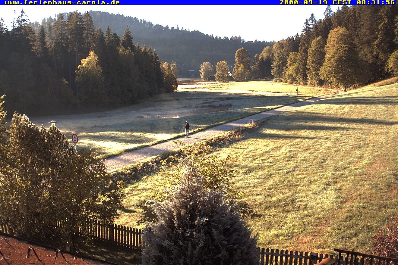 Archiv Foto Webcam Ferienhaus Carola in Hinterzarten
