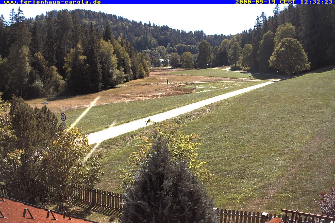Archiv Foto Webcam Ferienhaus Carola in Hinterzarten