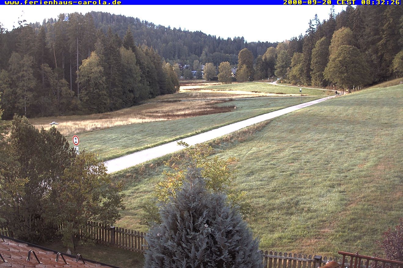 Archiv Foto Webcam Ferienhaus Carola in Hinterzarten
