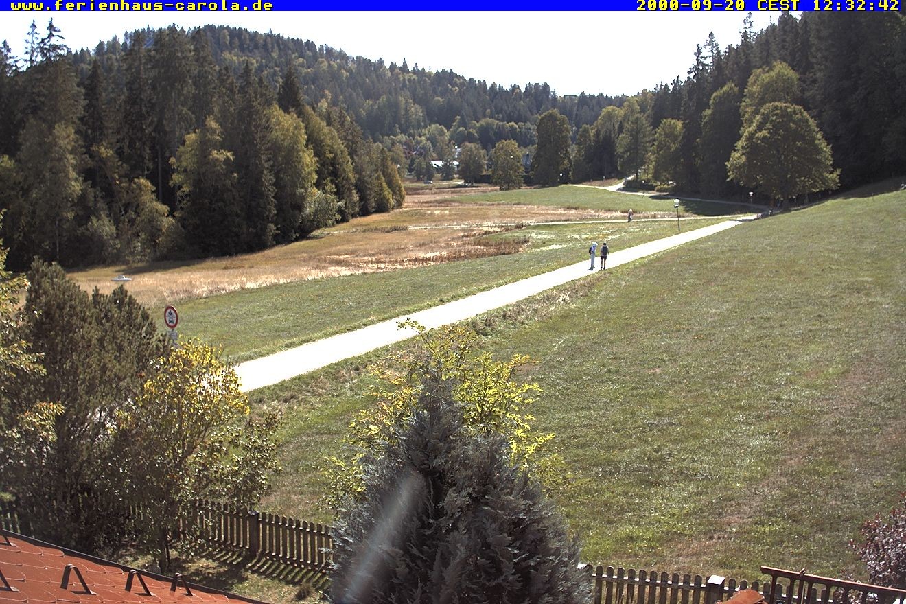 Archiv Foto Webcam Ferienhaus Carola in Hinterzarten