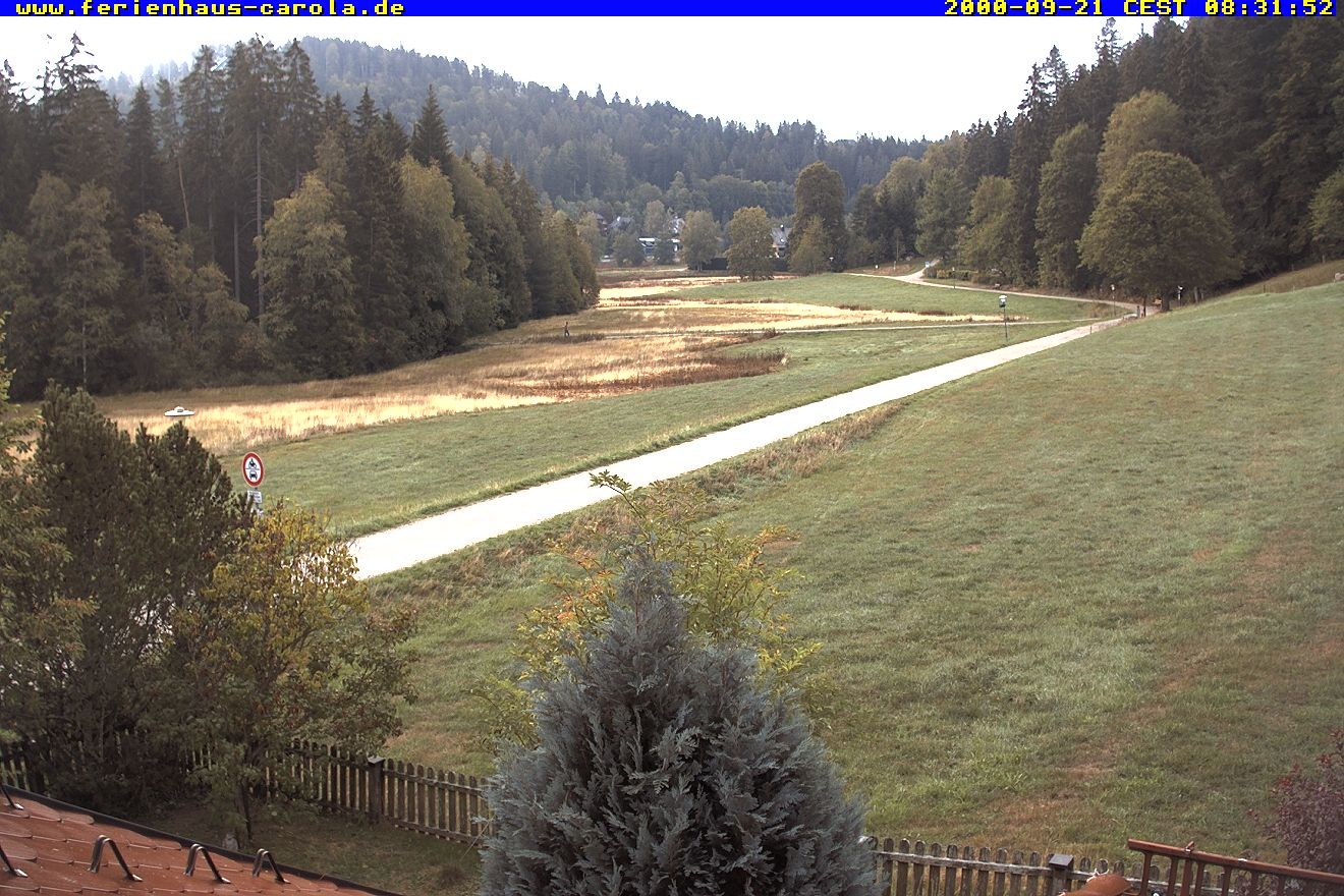 Archiv Foto Webcam Ferienhaus Carola in Hinterzarten