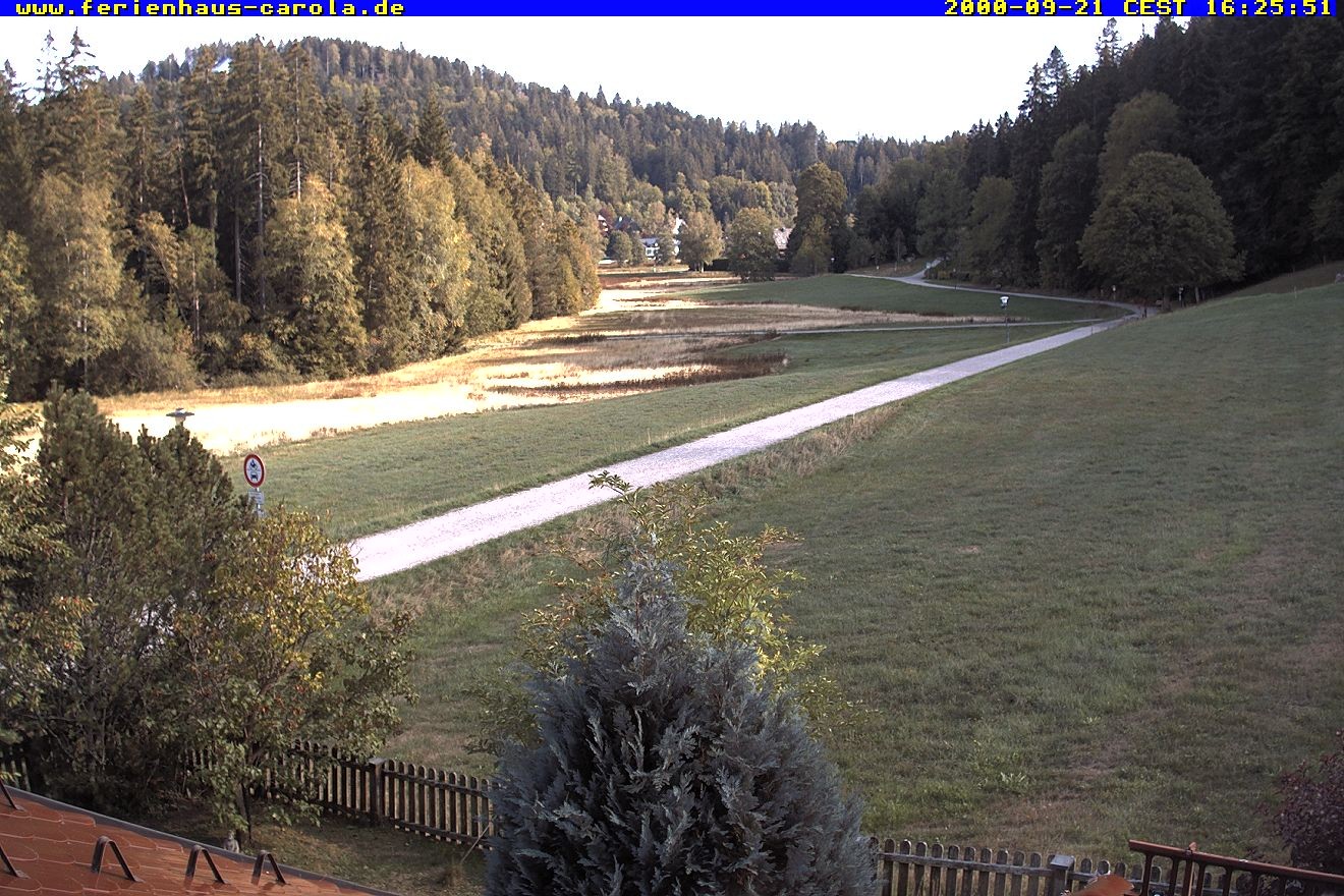 Archiv Foto Webcam Ferienhaus Carola in Hinterzarten