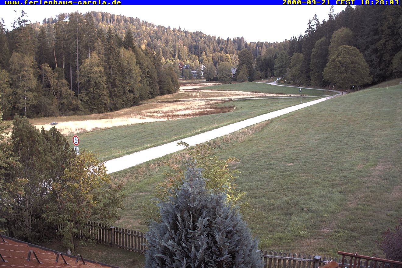 Archiv Foto Webcam Ferienhaus Carola in Hinterzarten
