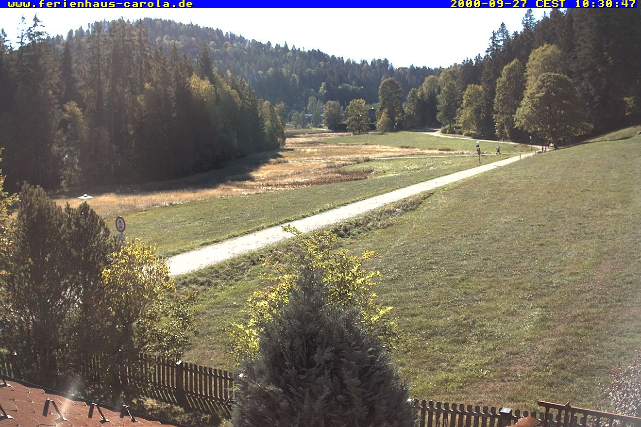Archiv Foto Webcam Ferienhaus Carola in Hinterzarten