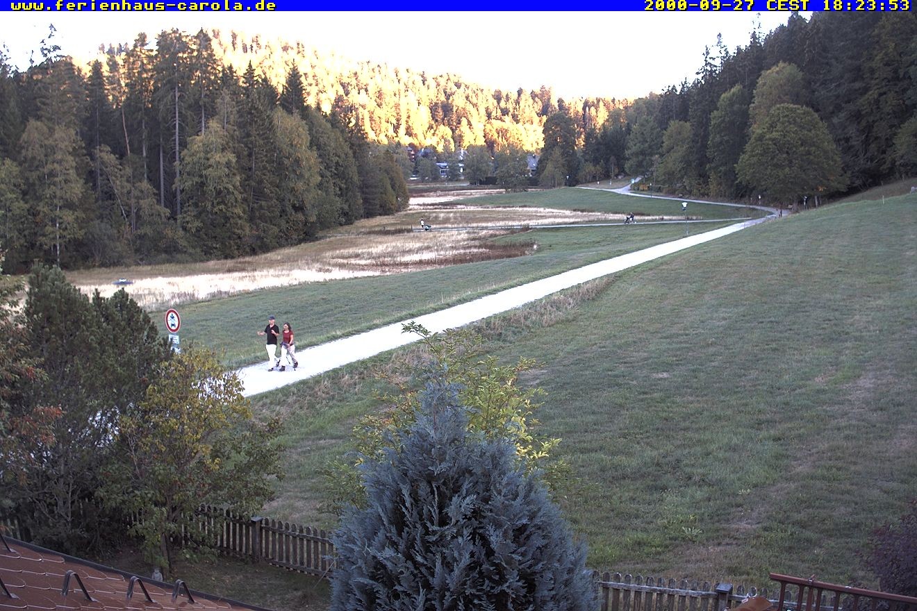 Archiv Foto Webcam Ferienhaus Carola in Hinterzarten