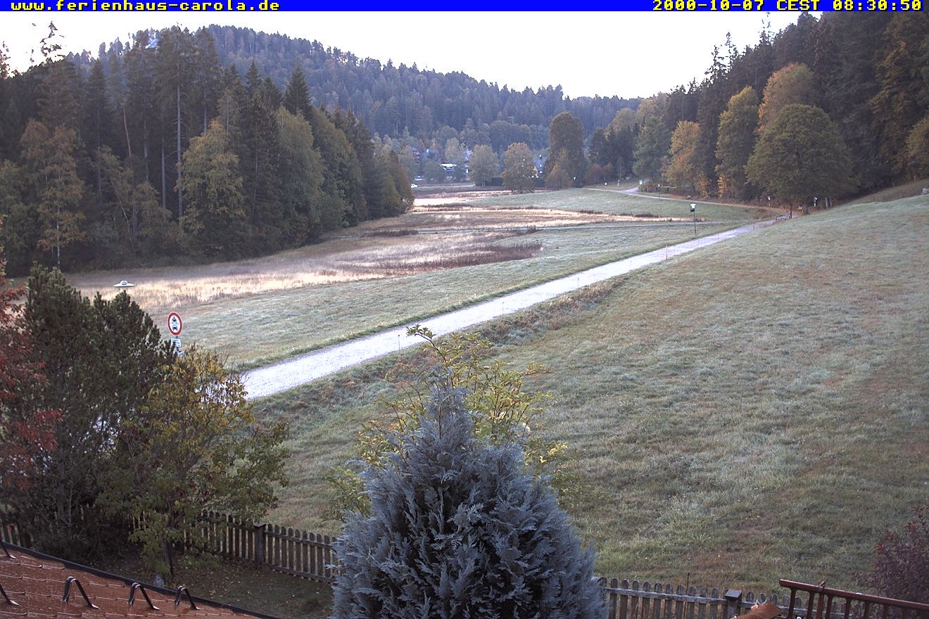 Archiv Foto Webcam Ferienhaus Carola in Hinterzarten