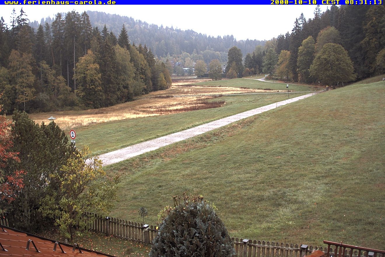Archived image Webcam Holiday lodge Carola at Hinterzarten