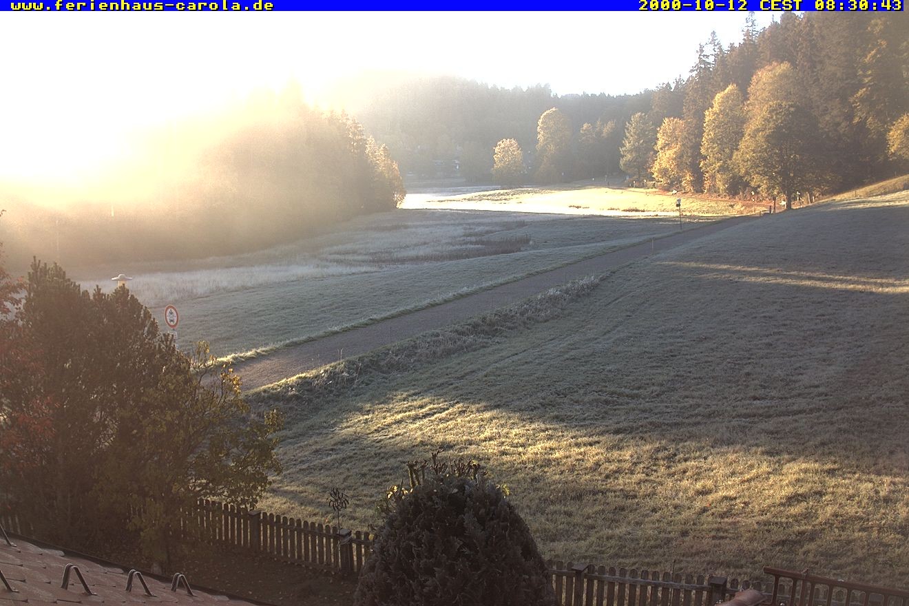 Archiv Foto Webcam Ferienhaus Carola in Hinterzarten