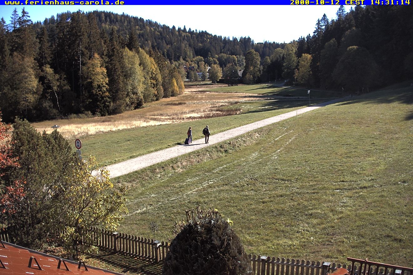 Archiv Foto Webcam Ferienhaus Carola in Hinterzarten