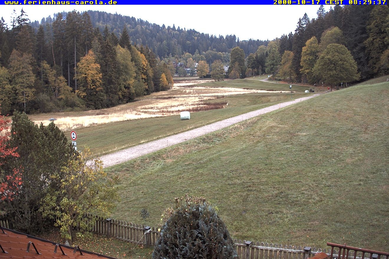 Archiv Foto Webcam Ferienhaus Carola in Hinterzarten