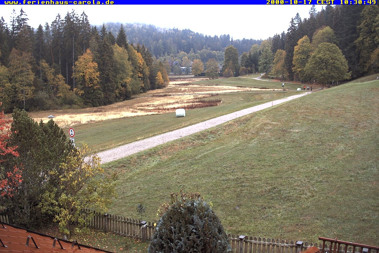 Archiv Foto Webcam Ferienhaus Carola in Hinterzarten