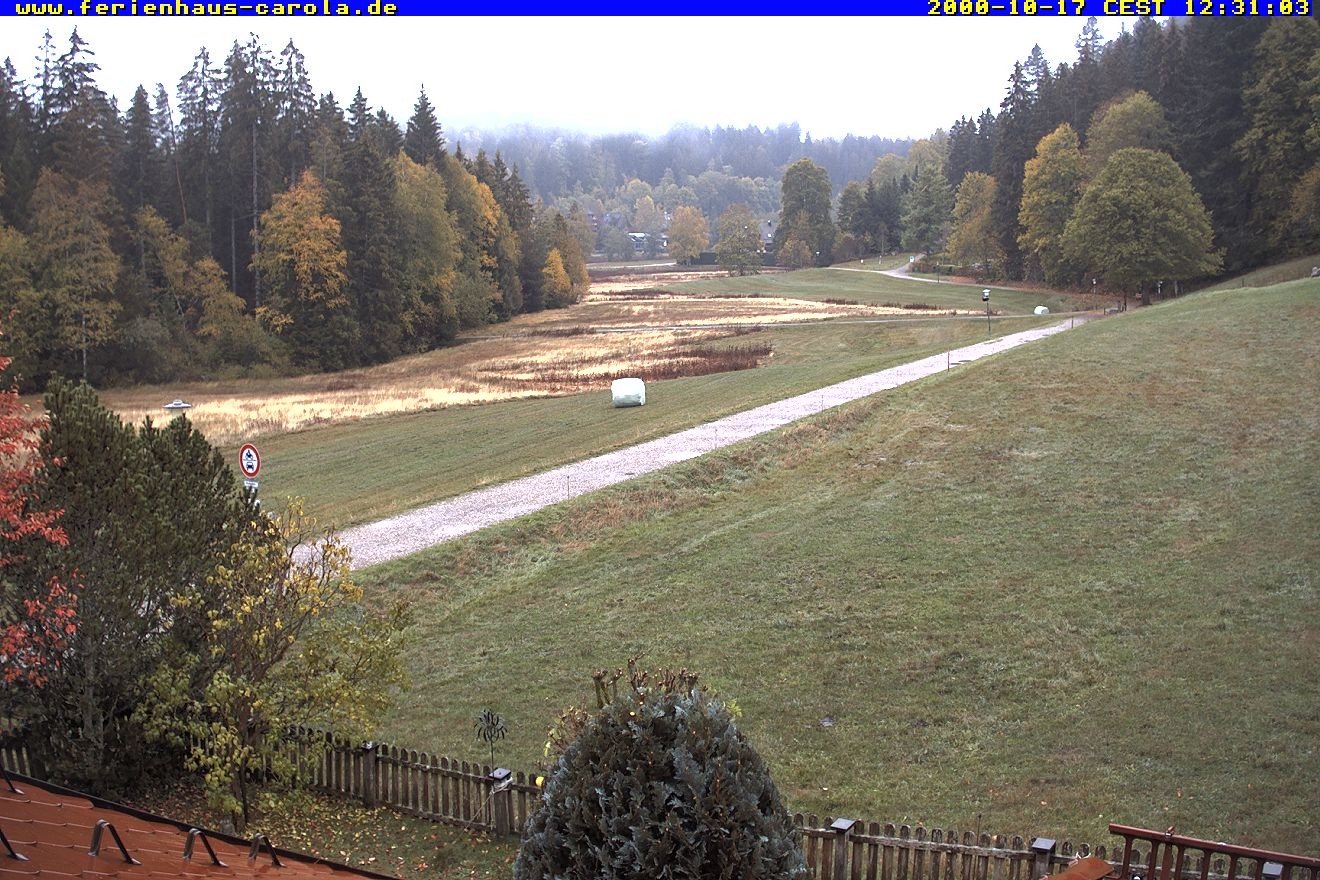 Archiv Foto Webcam Ferienhaus Carola in Hinterzarten