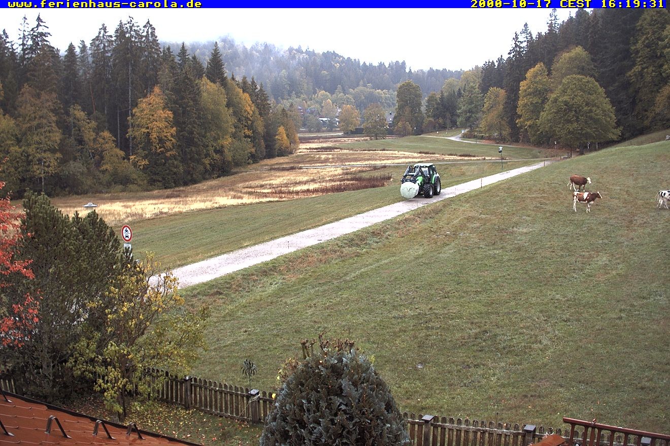 Archiv Foto Webcam Ferienhaus Carola in Hinterzarten