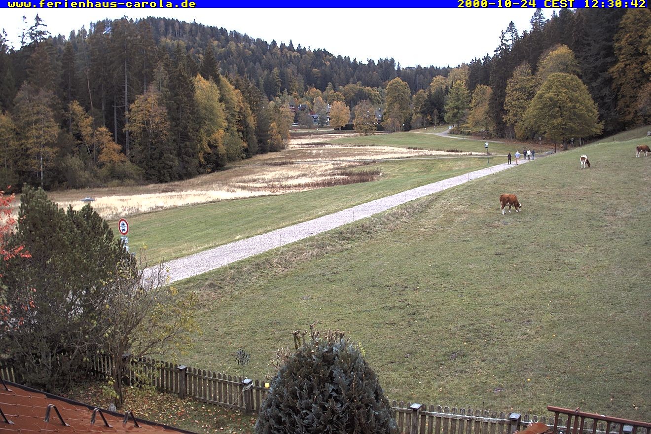 Archived image Webcam Holiday lodge Carola at Hinterzarten