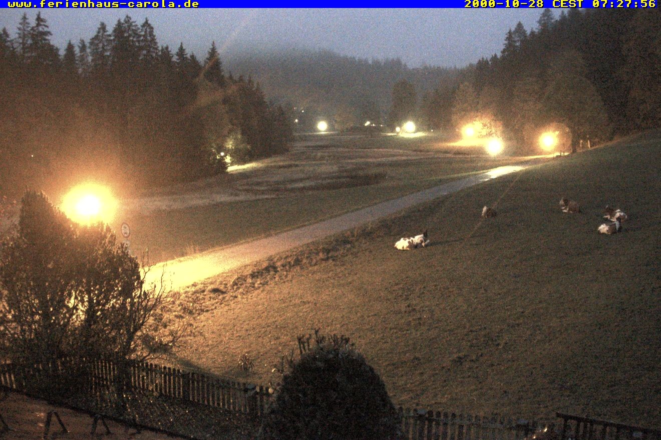 Archiv Foto Webcam Ferienhaus Carola in Hinterzarten