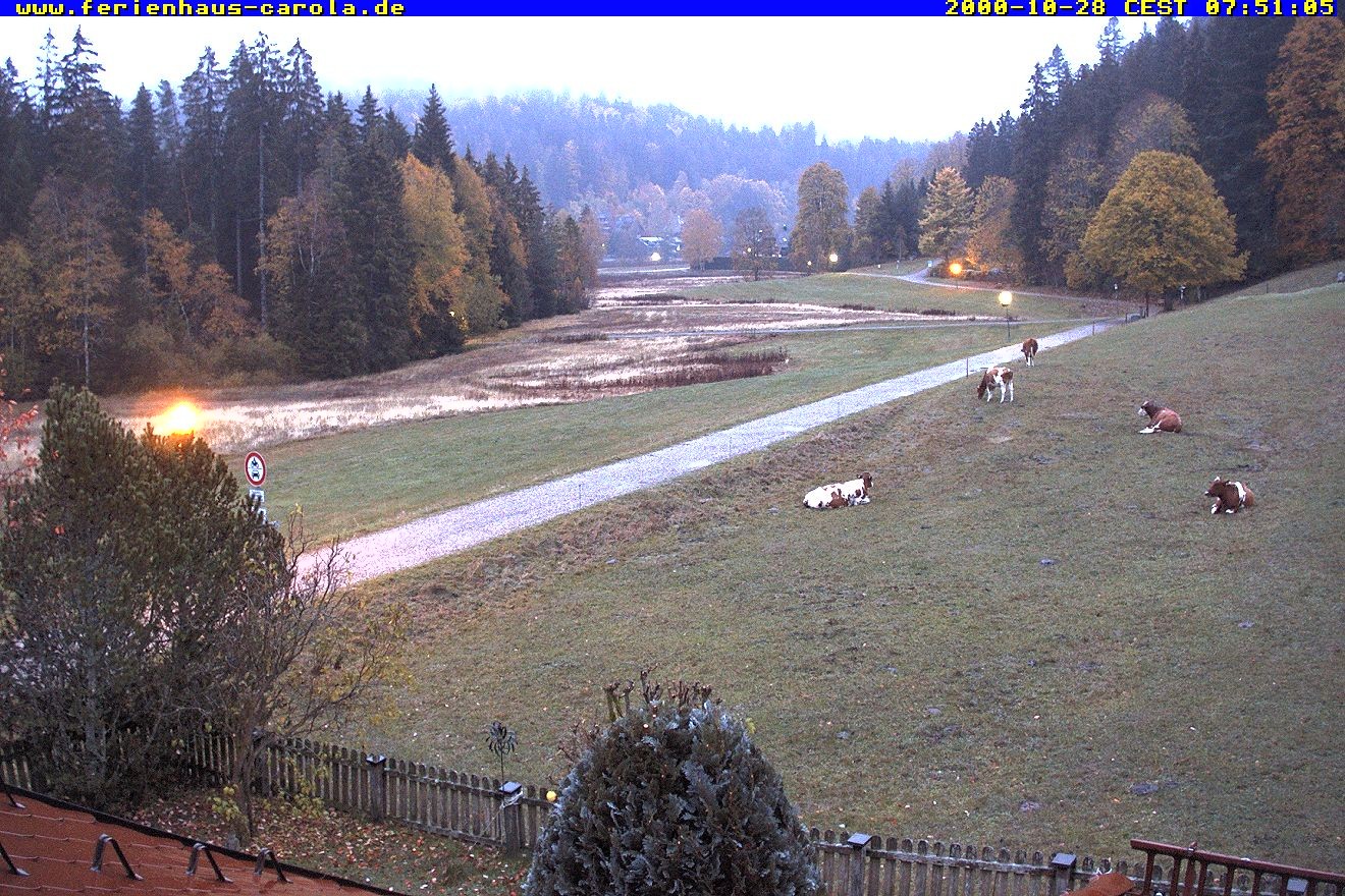 Archiv Foto Webcam Ferienhaus Carola in Hinterzarten