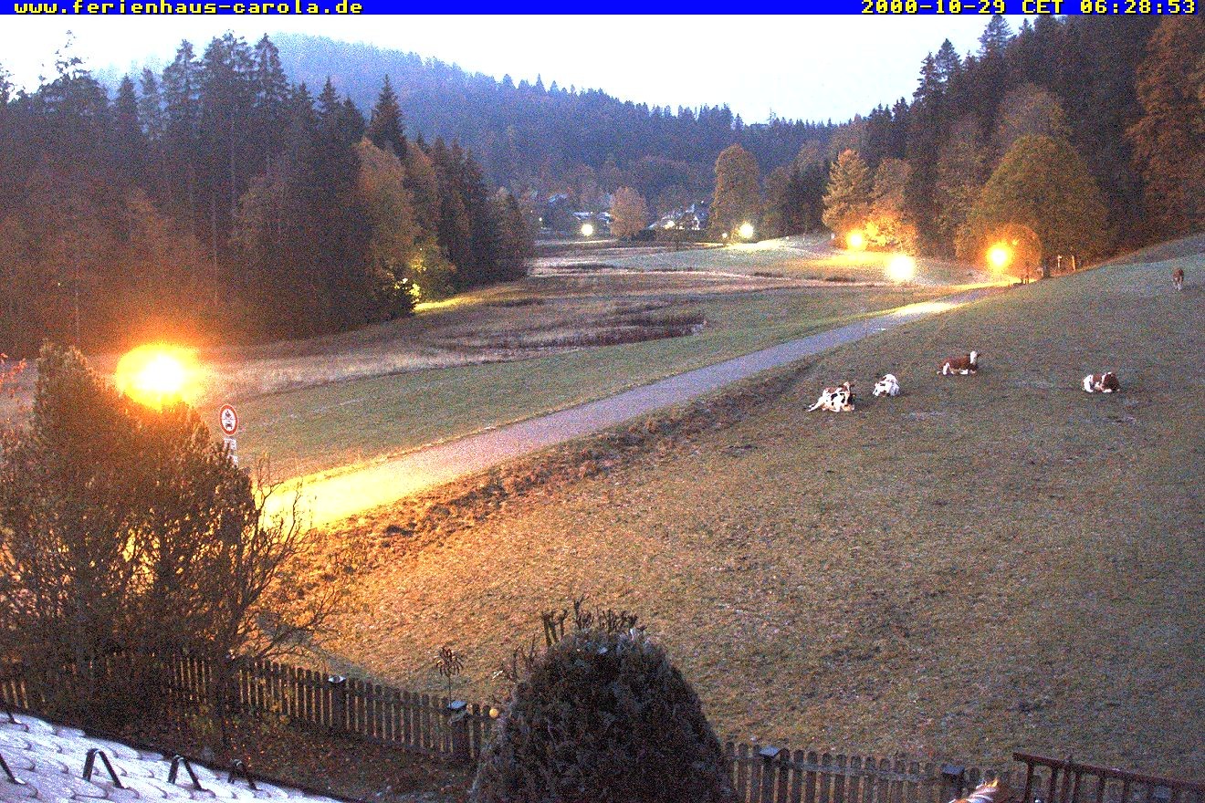 Archived image Webcam Holiday lodge Carola at Hinterzarten