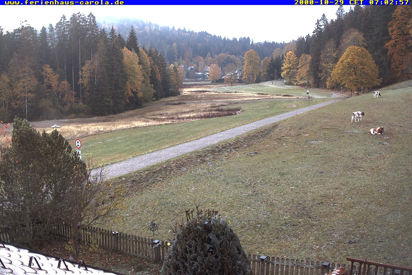 Archived image Webcam Holiday lodge Carola at Hinterzarten