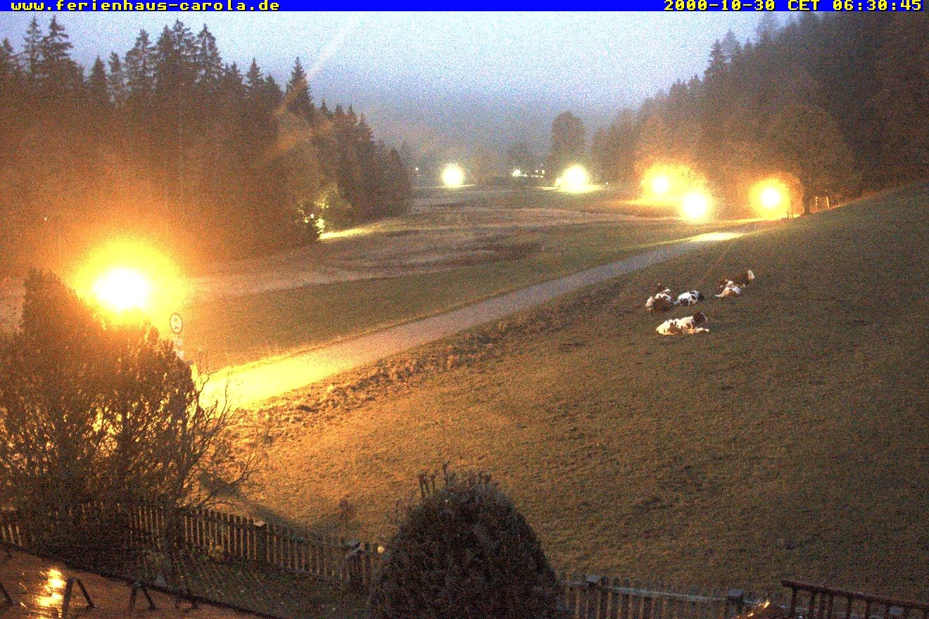 Archiv Foto Webcam Ferienhaus Carola in Hinterzarten